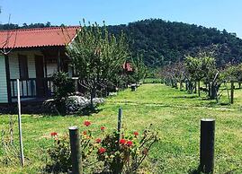Fesleğenbükü Kamp