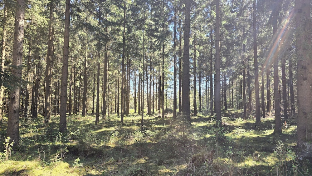 Sov Godt i Arnborg Bed & Breakfast
