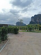 Nordic Mountain View