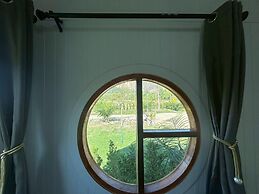 Nordic Mountain View