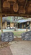 Simba Safaris African Pride