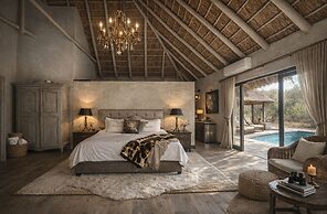 Simba Safaris African Pride