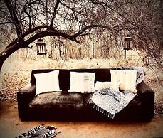 Simba Safaris African Pride