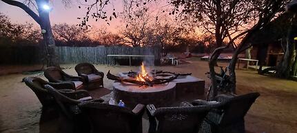 Simba Safaris African Pride