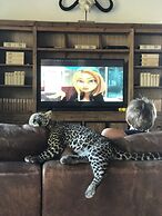 Simba Safaris African Pride