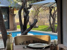 Simba Safaris African Pride