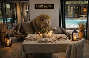 Simba Safaris African Pride