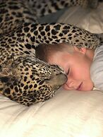 Simba Safaris African Pride