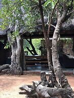 Simba Safaris African Pride
