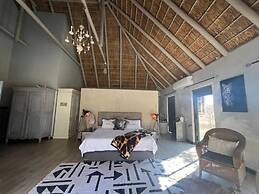 Simba Safaris African Pride