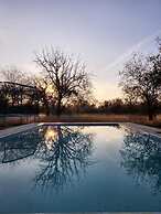 Simba Safaris African Pride