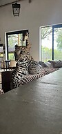 Simba Safaris African Pride