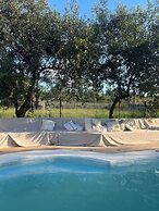 Simba Safaris African Pride