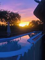 Simba Safaris African Pride