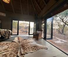 Simba Safaris African Pride