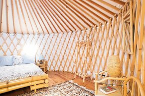 Room-a Yurt Among Olive Trees and the se