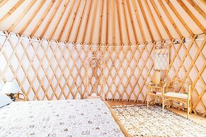 Room-a Yurt Among Olive Trees and the se