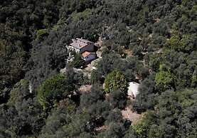 Room-a Yurt Among Olive Trees and the se