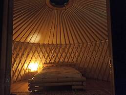 Room-a Yurt Among Olive Trees and the se