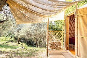Room-a Yurt Among Olive Trees and the se
