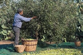 Agriturismo Tenuta Pizzolungo