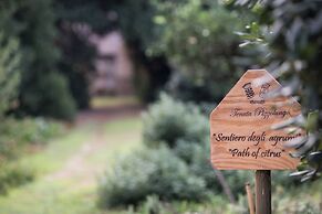 Agriturismo Tenuta Pizzolungo
