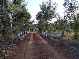 Anava Farms