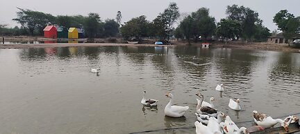 Hotel Goram Garh Resort