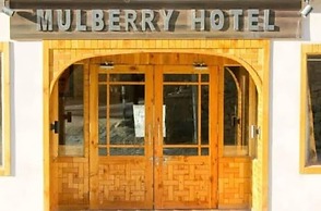Fort View Hotel Hunza