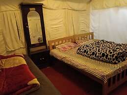 Pacific Camp Chopta