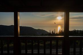 Vissala5 Alkanna in Vasiliki