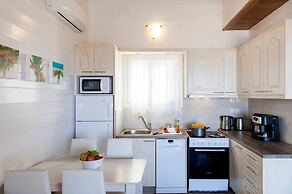 Vissala3 Arnebia in Vasiliki
