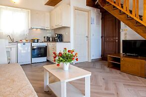 Vissala3 Arnebia in Vasiliki