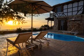 Vissala3 Arnebia in Vasiliki