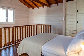 Vissala1 Arenaria in Vasiliki