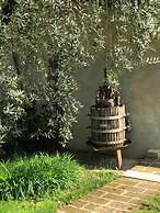 AGRITURISMO IL CARDO