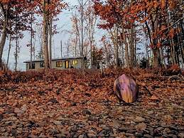 Lakeview Property on Indian Lake NB Canada