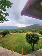 Tropical Blooms - Coorg