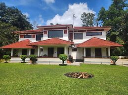 Tropical Blooms - Coorg