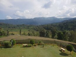 Tropical Blooms - Coorg