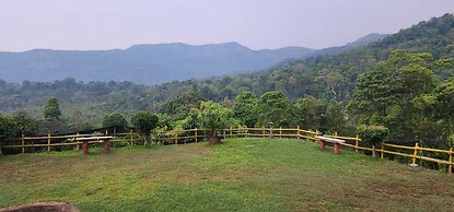 Tropical Blooms - Coorg