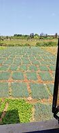 The Africana Hotel- Isiolo