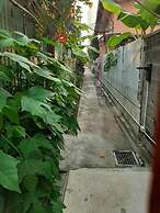 Baanboon