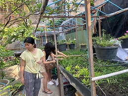 Baanboon