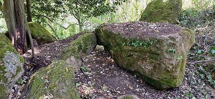 Quinta da Pêra rocha