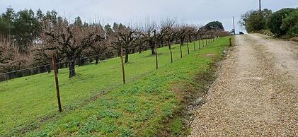 Quinta da Pêra rocha