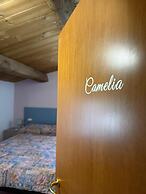 Affittacamere Castelmanardo
