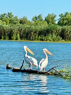 Danube Delta View
