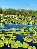 Danube Delta View
