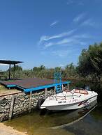 Danube Delta View